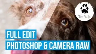 Komplette Retusche - Hunde Foto in Photoshop bearbeiten