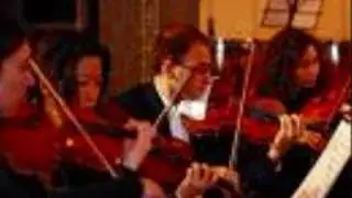 rise up vandalism violinist edit