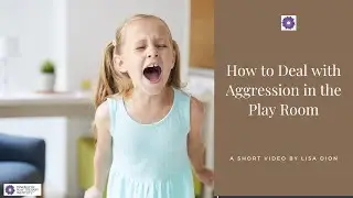 How to Deal with Aggression in the Playroom