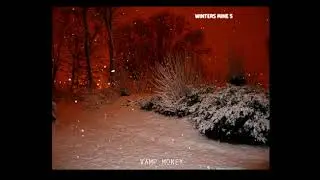VAMP MONEY AKA SPACEGHOSTPURRP - WINTERS MINE 5 / UNOFFICIAL TAPE