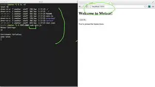 5  The Meteor Build System