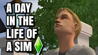 A Day In The Life of A Sim