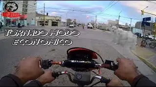 Observaciones diarias en el Zane