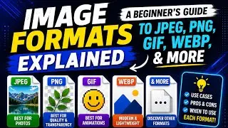 Image Formats Explained: A Beginner's Guide to JPEG, PNG, and More