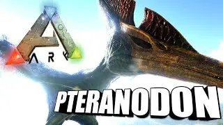 Taming A Pteranodon | Ark Survival Evolved | The Island