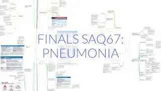 FINALS ANAES SAQ67: PNEUMONIA