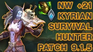 Kyrian Survival Hunter - +21 Necrotic Wake (NW) 9.1.5
