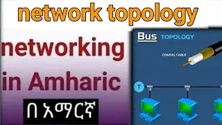 network topology  networking in Amharic