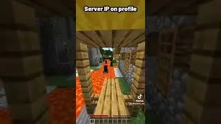 Minecraft Villager Chase 4