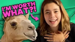How Many Camels Am I Worth? / Bala