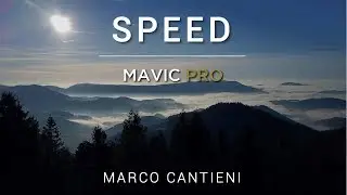 SPEED Schwarzwald (4K Aerial Film)