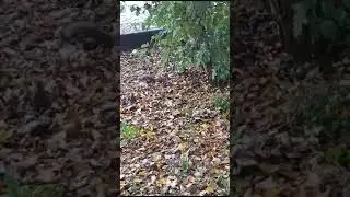 Көзләр җитте....