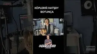 Sivotnoy gyzllar