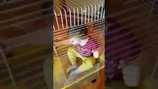 Мать посадила ребёнка в клетку. 