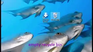Recover deleted mp4 videos from GoPro camera