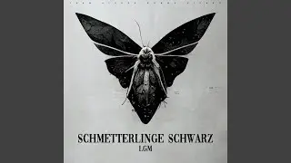 Schmetterlinge Schwarz