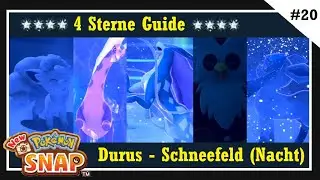4-Sterne Guide - Durus Frostiges Schneefeld (Nacht) - Alle Pokémon - New Pokémon Snap Guide - 20