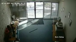 Козёл врывается в офис