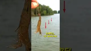 Simple but easy to imitate || Fishing for White Snapper (Barramundi) 