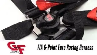 In the Garage™ with Parts Pro™: G-FORCE Racing Gear FIA 6pt Euro Cam Racing Harness