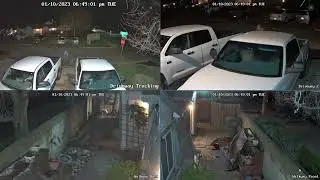 Reolink Split screen at night