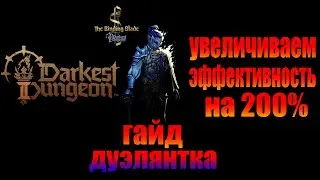 A guide to the DUELIST, how to deal a TON of damage, and what to do as a support character in Dar...