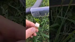 Миссия выполнена!!!Успешный поиск золотого перстня