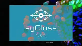 syGlass 1.3.2.