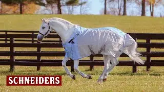 Hybrid Fly Sheet - Schneider Saddlery