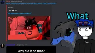 I asked my Discord Server for MEMES...