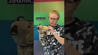 МАТЕРИМСЯ на КИТАЙСКОМ языке 