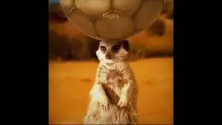 Belligol ☠️ #trending #viral #football #edit #shortsvideo