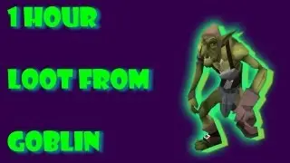 Runescape Loot from 1 hour of killing Goblin