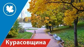 Курасовщина - золотая осень в Минске