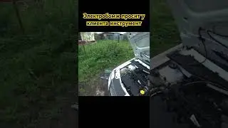 Ларгус троит