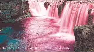 Taiga Taiga - The Last Ebb Of Dusk (AOAM Remix)