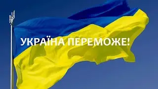 Польский гриб (Imleria badia)
