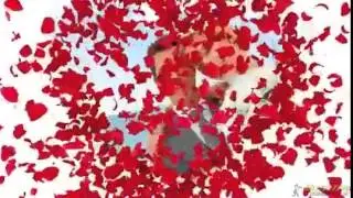 Стили для ProShow Producer- лепестки роз