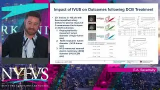 Is it Time to Use Imaging to Tailor Our Therapy for BTK Disease    Eric A  Secemsky