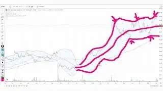 The Amazing Chart on Dick's Sporting Goods