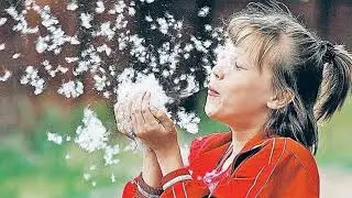 Белый пух Курские соловьи