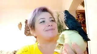 Лицедей на сцене. Путин мертв. Точка.