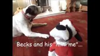 Becks and his "mini me"