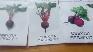 Мой опыт заказа профсемян в ИМ 