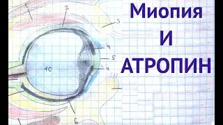 Миопия и атропин. Ответы на вопросы. Глеб Арсланов. Практика и данные исследований.