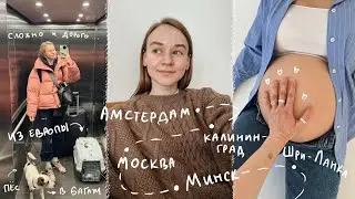 84. Gave away the dog and flew away from Europe for a month | Minsk and Moscow Vlog | Karolina K