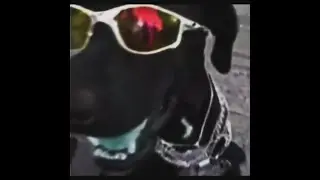 Vida Loka (meme edit)