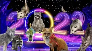 Goodbye 2021, Hello 2022