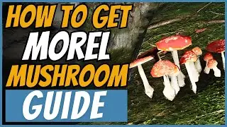 How to Get Morel Mushrooms in Once Human