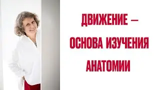 Движение — основа изучения анатомии